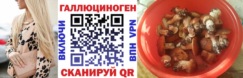 Псилоцибиновые грибы мицелий  Жуковка 